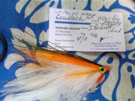 Orange & White Deceiver